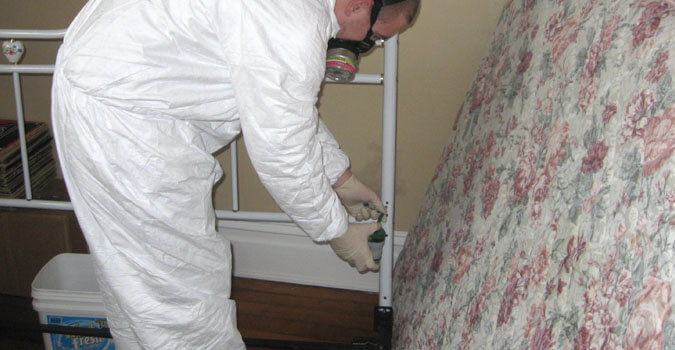 Bed Bug Exterminator