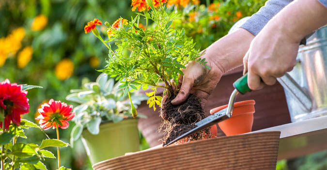 Landscapers