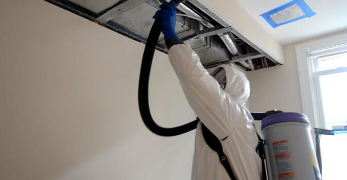 Mold Removal